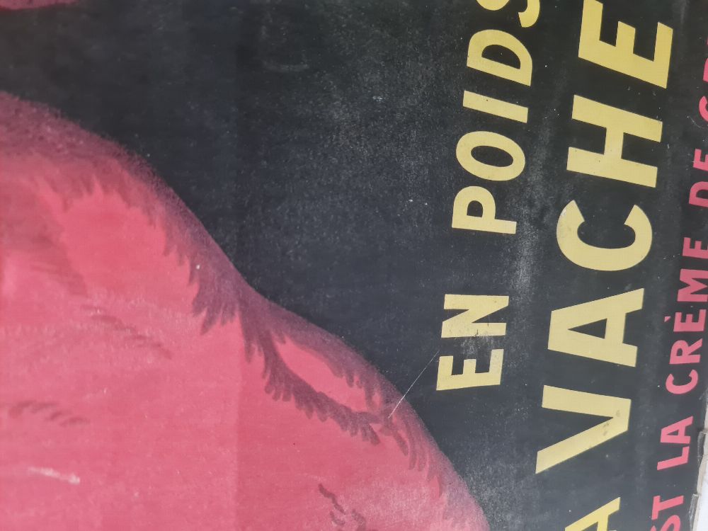 Image de l'annonce