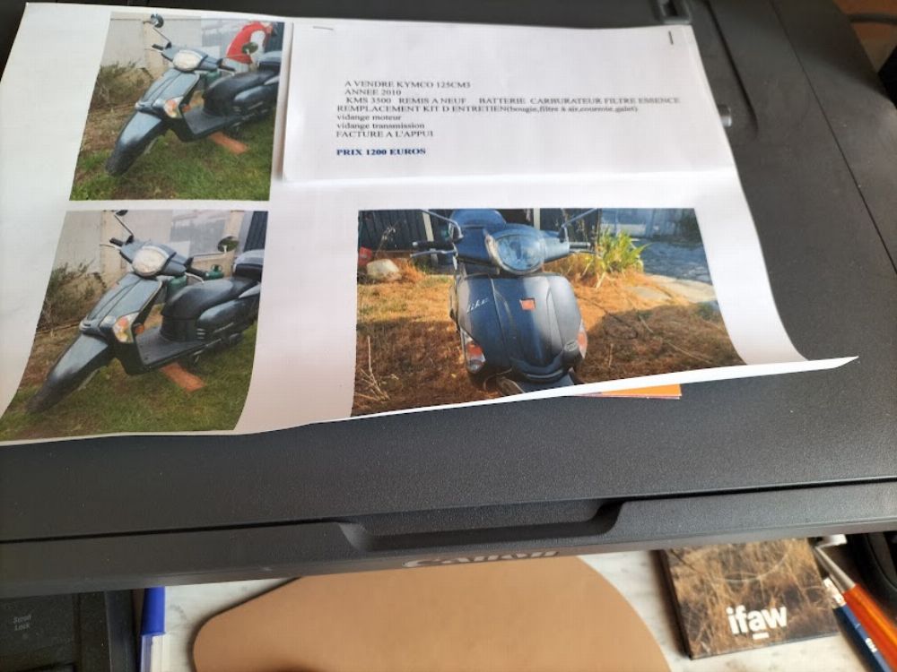 Image de l'annonce