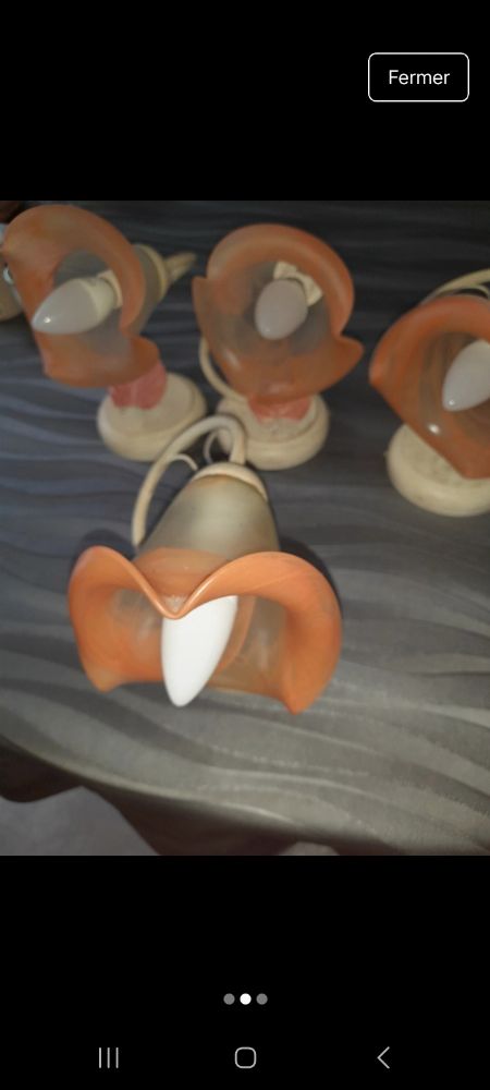 Image de l'annonce