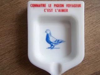 Image de l'annonce